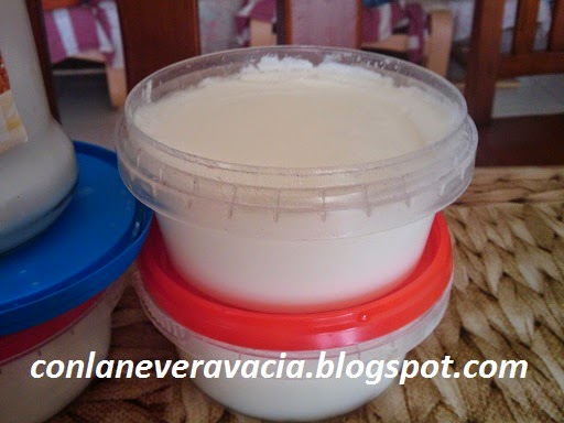 YOGURT CASERO, CASERO