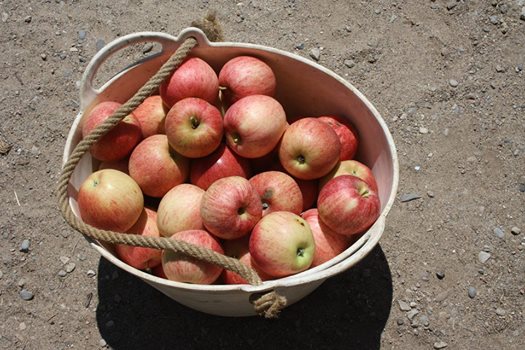 TARTA DE MANZANA