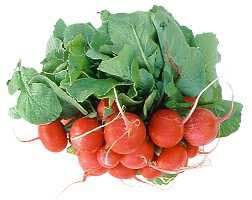 ENSALADA DE TOMATE, LECHUGA Y RABANITOS