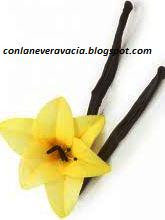 conlaneveravacia.blogspot.com