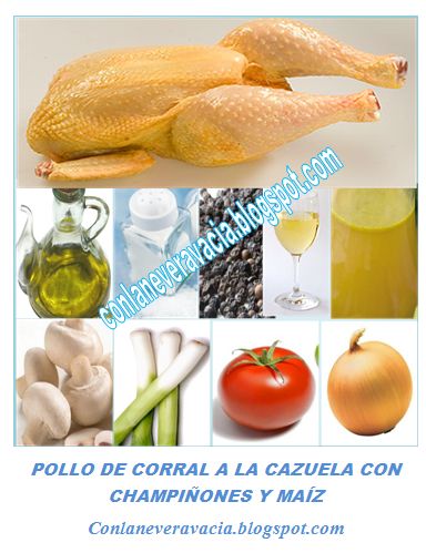 conlaneveravacia.blogspot.com