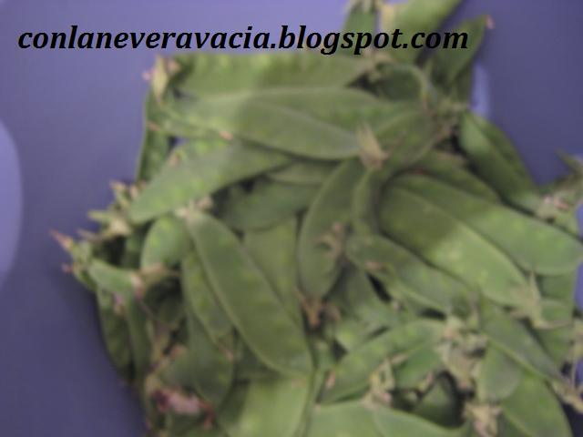 conlaneveravacia.blogspot.com