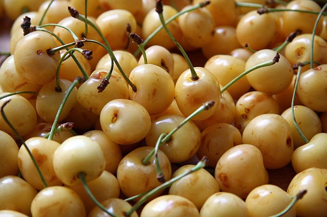 conlaneveravacia.blogspot.com