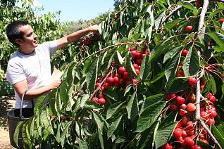 conlaneveravacia.blogspot.com