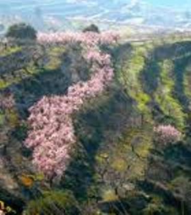 conlaneveravacia.blogspot.com