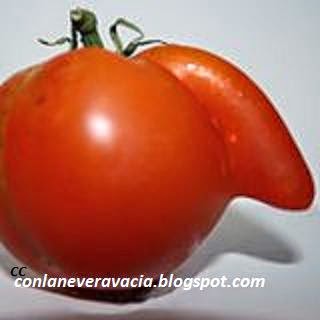 conlaneveravacia.blogspot.com