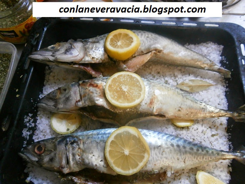 conlaneveravacia.blogspot.com