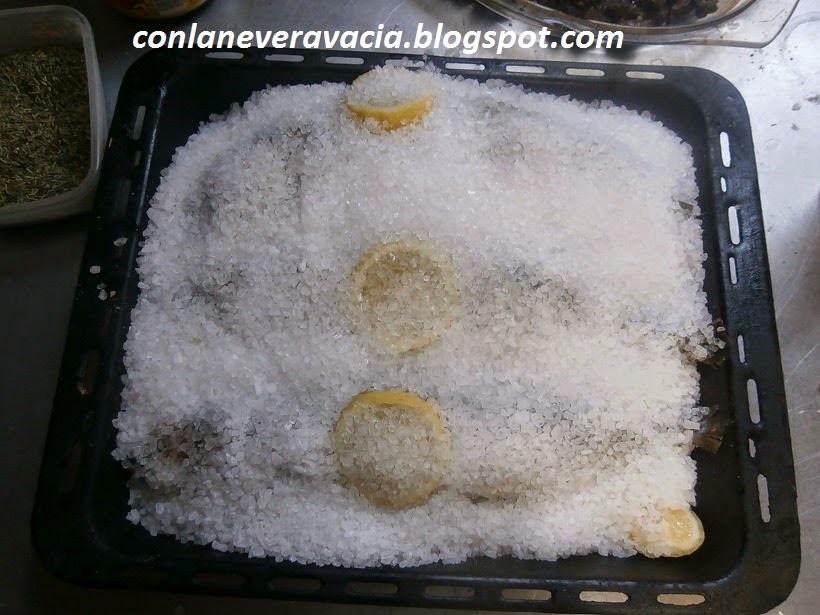 conlaneveravacia.blogspot.com