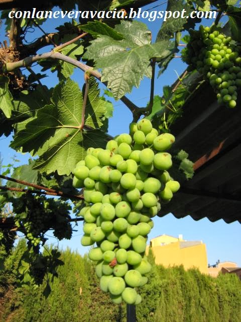 UVAS